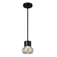 Eglo 204448A - 1 LT Integrated LED Indoor/Outdoor Mini Pendant w/ Black Finish & Clear Glass