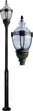 Dabmar GM8039-BZ-MT - CAST ALUM CLR TOP ACORN FIX 50W HPS MT