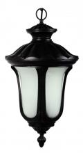 Yosemite Lighting FL5311HBL - Black Hanging Lantern