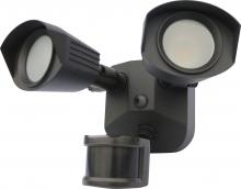 Security Lights